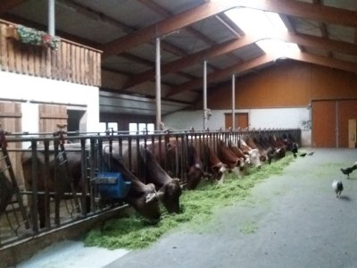 Apartment Appartement mit Balkon - Environment photo 29