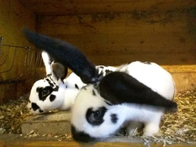 Apartment Appartement mit Balkon - Environment photo 31