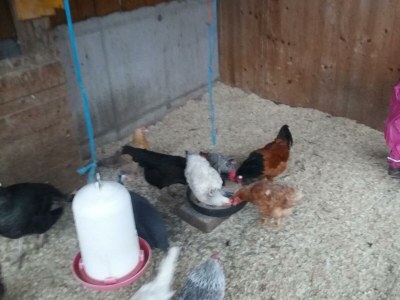 Apartment Appartement mit Balkon - Environment photo 32