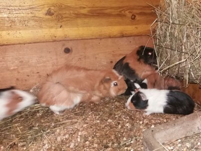 Apartment Appartement mit Balkon - Environment photo 33