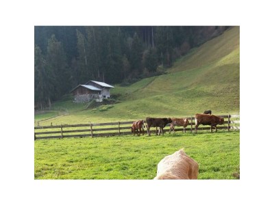 Apartment Appartement mit Balkon - Environment photo 34