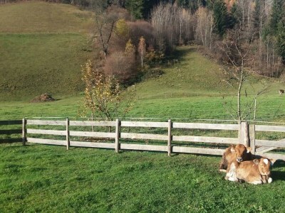 Apartment Appartement mit Balkon - Environment photo 35