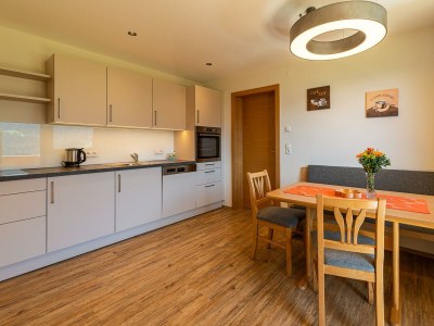 Apartment Appartement Panoramablick (2 Zimmer/2 Bäder in Fügenberg - Apartment