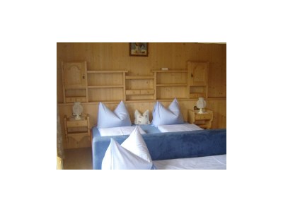 Apartment Apartment Gästehaus Kainer - Features photo 19