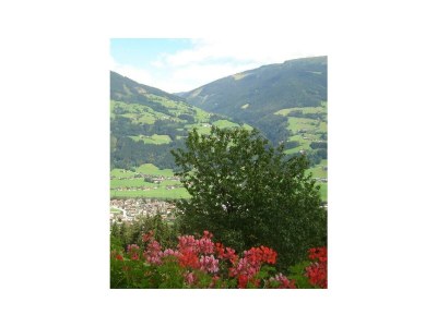 Apartment Apartment Gästehaus Kainer - Features photo 28