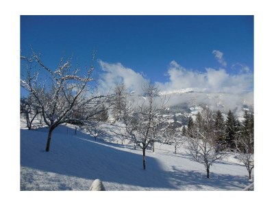 Apartment Appartement Aloisia Holaus - Outdoor photo 6