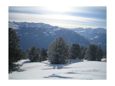 Apartment Appartement Aloisia Holaus - Environment photo 19