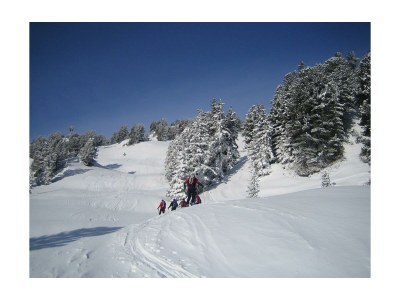 Apartment Appartement Aloisia Holaus - Environment photo 20