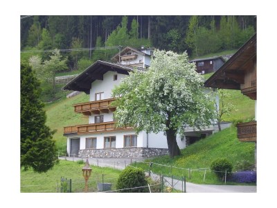 Apartment KRAFTbaum - Outdoor photo 2