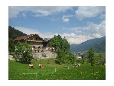 Apartment KRAFTbaum - Outdoor photo 24