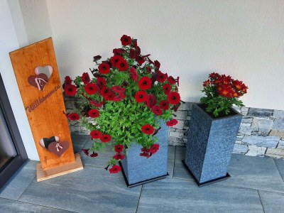 Apartment Appart Dornauer - Features photo 21