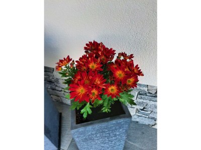 Apartment Appart Dornauer - Features photo 22