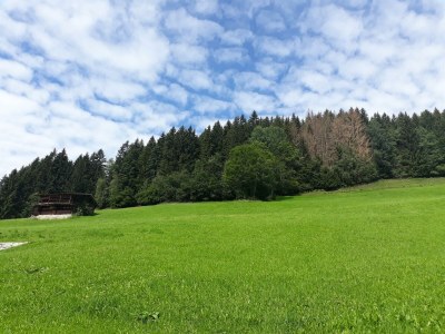 Apartment Appart Dornauer - Environment photo 27