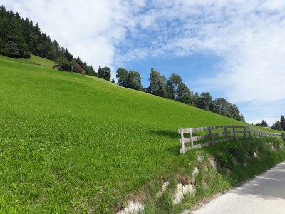 Apartment Appart Dornauer - Environment photo 28