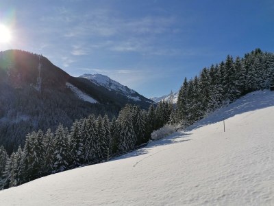 Apartment Appart Dornauer - Environment photo 32