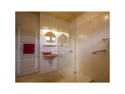 Apartment Apt. 1: 46 m² - Features photo 16