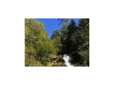 Apartment Apt. 1: 46 m² - Environment photo 18