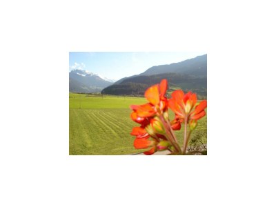 Apartment Ferienwohnung Haus Bianca - Environment photo 31