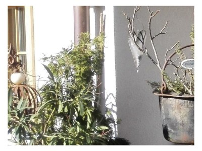 Apartment Ferienwohnung Angerer - Outdoor photo 7