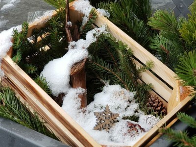 Apartment Ferienwohnung - Outdoor photo 22