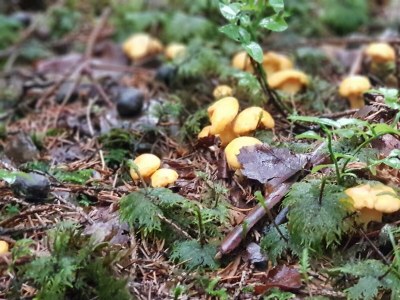 Apartment Ferienwohnung - Outdoor photo 47