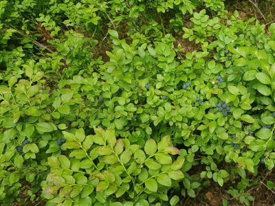 Apartment Ferienwohnung - Outdoor photo 48