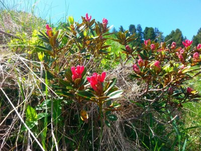 Apartment Ferienwohnung - Outdoor photo 50