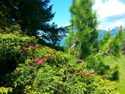 Apartment Ferienwohnung - Outdoor photo 57