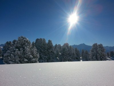 Apartment Ferienwohnung - Outdoor photo 59