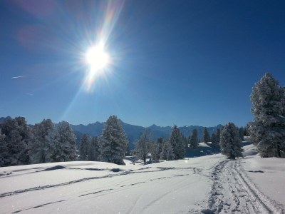 Apartment Ferienwohnung - Outdoor photo 61