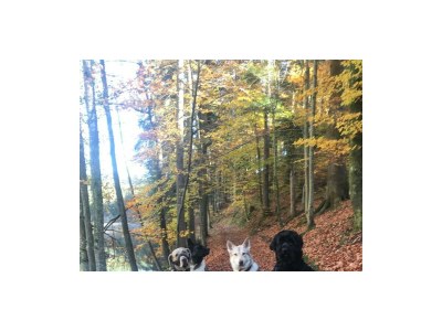 Apartment Top 3 - Outdoor photo 21