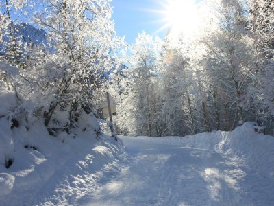 Apartment Top 3 - Outdoor photo 28