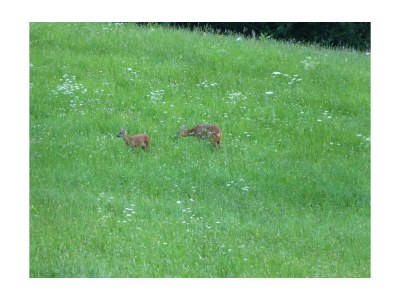 Apartment Apartment Haus Margret - Outdoor photo 11