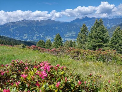 Apartment Apartment Haus Margret - Outdoor photo 19