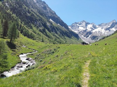 Apartment Apartment Haus Margret - Outdoor photo 20