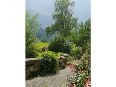 Apartment Apartment/2 Schlafräume/Dusche, WC - Outdoor photo 15