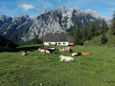 Apartment Apartment/2 Schlafräume/Dusche, WC - Outdoor photo 24