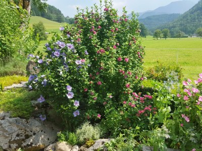 Apartment Apartment/2 Schlafräume/Dusche, WC - Outdoor photo 25