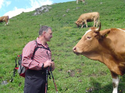Apartment Apartment/2 Schlafräume/Dusche, WC - Outdoor photo 26