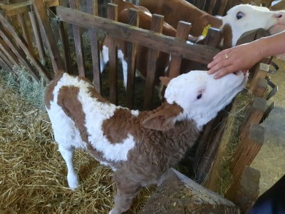 Apartment Apartment/2 Schlafräume/Dusche, WC - Outdoor photo 27