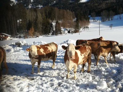 Apartment Apartment/2 Schlafräume/Dusche, WC - Outdoor photo 32