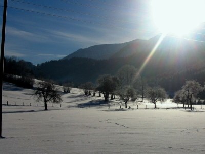 Apartment Apartment/2 Schlafräume/Dusche, WC - Features photo 37