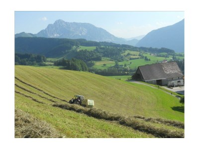 Apartment Ap./4 od mehr Schlafräume/Dusche, WC - Outdoor photo 9