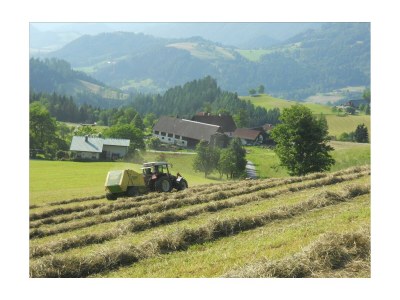 Apartment Ap./4 od mehr Schlafräume/Dusche, WC - Outdoor photo 11