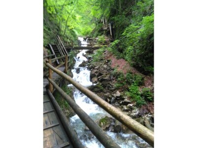 Apartment Ap./4 od mehr Schlafräume/Dusche, WC - Outdoor photo 19