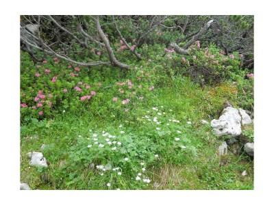 Apartment Ap./4 od mehr Schlafräume/Dusche, WC - Outdoor photo 22