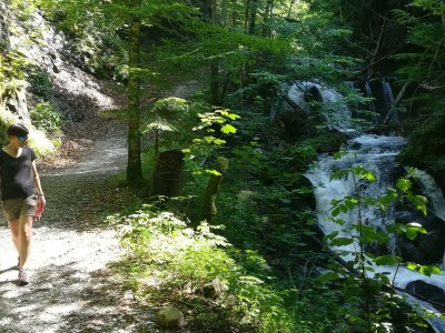 Apartment Ap./4 od mehr Schlafräume/Dusche, WC - Outdoor photo 27