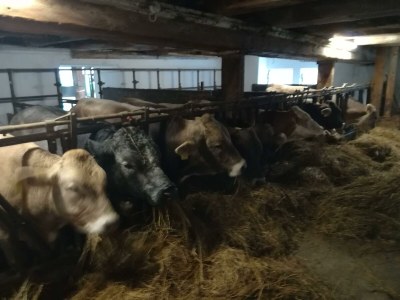 Apartment Ap./4 od mehr Schlafräume/Dusche, WC - Outdoor photo 33