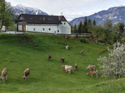 Apartment Ap./4 od mehr Schlafräume/Dusche, WC - Outdoor photo 36