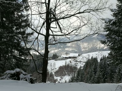 Apartment Ap./4 od mehr Schlafräume/Dusche, WC - Outdoor photo 74